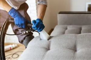 Professional Sofa Cleaning